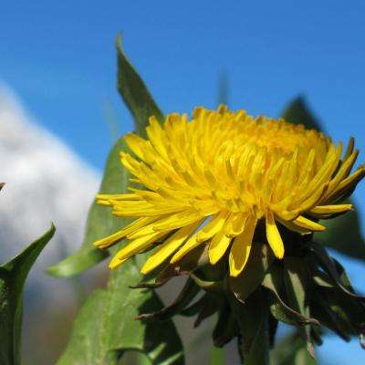 魅影快三app下载安装手机版